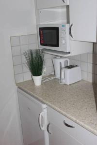 una encimera de cocina con microondas y una planta en Hotel Aakenus Studio Valta, en Rovaniemi