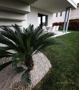 eine Palme in einem Hof neben einem Haus in der Unterkunft Villa Oliveto 24 in Bardolino