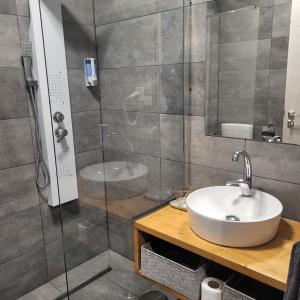 y baño con lavabo y ducha. en Bornemisza Kúria Wellness Resort, en Tiszabecs