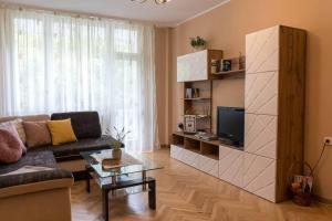 a living room with a couch and a tv at Marvelous Riverside Flat in Ruse