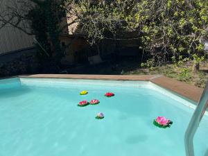 un grupo de flores en una piscina en Ca L'Esquelleta casa rural, en Vilaverd