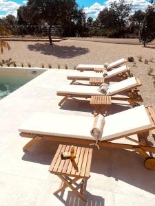 - une rangée de tables de pique-nique près de la piscine dans l'établissement Villa moderne entre centre ville et nature, à Nîmes