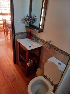 a bathroom with a toilet and a sink and a mirror at La Porteña in Gualeguaychú