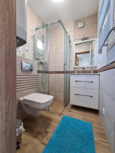 La salle de bains est pourvue de toilettes et d'une douche en verre. dans l'établissement Domki luksusowe Kapitan, à Ustronie Morskie