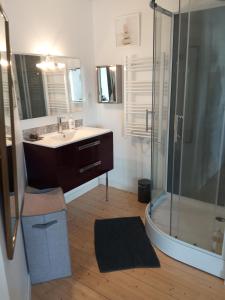 a bathroom with a sink and a shower at Le Cosy in Hiersac