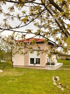 ボサンスカ・グラディシュカにあるApartmani Suboticの緑の庭のある小さな白い家