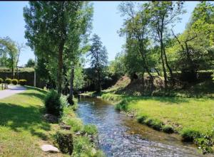 a river in a park with grass and trees at Apartamento Cuca in Baralla