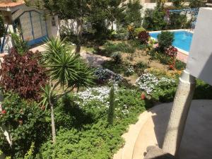 an overhead view of a garden with flowers and a swimming pool at Blue holiday family summer villa - privé pool- AC- 5 bdr- 10 pax in Alexandria