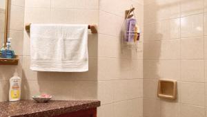 a bathroom with a towel hanging on a wall at Paz y armonía cerca de todo in San Salvador de Jujuy