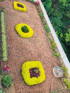 un jardín de flores con un número en la tierra en Nilgiri Comfort Stay, en Coonoor