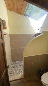 een badkamer met een douche en een dakraam bij Cabañas La Cascada in Zacatlán