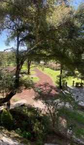 Zahrada ubytování Cabañas La Cascada