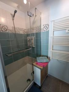 een badkamer met een douche en een glazen deur bij Le Hutteau in Vaudricourt