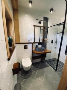 CzerwienneにあるKanylosek Luksusowe Domki Drewnianeのバスルーム(トイレ、シャワー付)