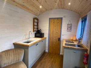 a small kitchen with a sink and a microwave at Oakies Farm Stays in Llandovery