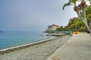 Una playa con palmeras y un edificio y el océano. en Dreamy Catalina Island Home, Walk to Beach and Ferry, en Avalon