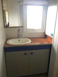 Koupelna v ubytování Mobil Home + dépendance dans jolie parc privé