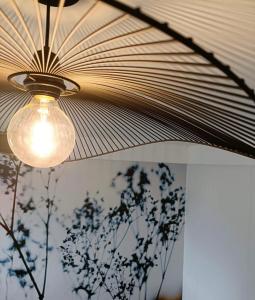 a light hanging from a ceiling with an umbrella at Les Cocons d AleXan Le studio balnéo aromathérapie 