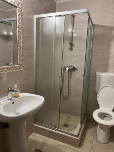 Pensiunea Diana في فاغاراش: حمام مع دش ومغسلة ومرحاض