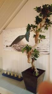 a bonsai tree in a pot next to a picture at JBay Surfed Out in Jeffreys Bay