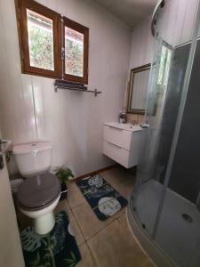 a bathroom with a toilet and a shower and a sink at La Caz à Irène in Saint-Joseph