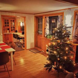 a living room with a christmas tree in a room at Loghouse apartment in arctic wonderland! in Kvaløya