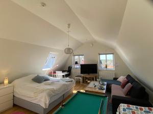 a bedroom with a pool table in a attic at Family and Business Bed and Breakfast with a Beautiful Garden in Kallfors, Stockholm near a Golf Course, Lakes, the Baltic Sea, Forests & Nature in Järna