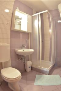 y baño con aseo, lavabo y ducha. en Apartments Rožič en Kranjska Gora
