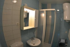 a bathroom with a sink and a shower and a toilet at Apartments Rožič in Kranjska Gora