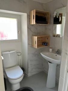 La salle de bains est pourvue de toilettes et d'un lavabo. dans l'établissement Chez Jessica, à Chaumont-sur-Loire