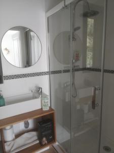 een badkamer met een douche en een spiegel bij Les Bouches Manon in Pressagny l'Orgueilleux