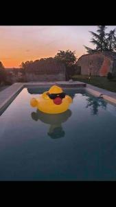 un pato de goma está sentado en una piscina en Chez Gaston, les gîtes de cazes, en Sérignac
