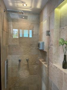 uma casa de banho com um chuveiro e uma porta de vidro em Hotel Diosa del Agua Bacalar em Bacalar
