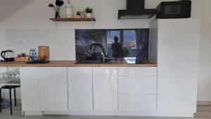 Kuchyňa alebo kuchynka v ubytovaní Apartamenty Bujaki Ustroń