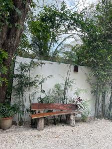 Zahrada ubytování Hotel Diosa del Agua Bacalar