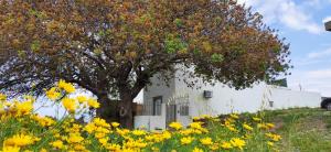 A garden outside traditional suburbs maisonette