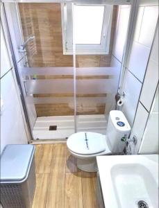 La petite salle de bains est pourvue de toilettes et d'un lavabo. dans l'établissement Apartamento Casa Davila, à Santander