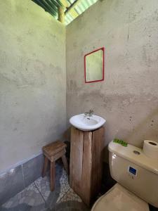 ein Bad mit einem Waschbecken und einem WC in der Unterkunft La Muñequita Lodge 1 - culture & nature experience in Palmar Norte
