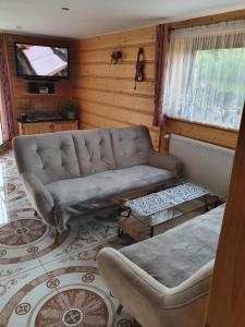 sala de estar con sofá y TV en LONDYNEK en Poronin
