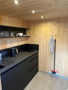 a kitchen with wooden walls and a black counter top at PRIMÁTOR CAMPING RESORT LITOMYŠL in Litomyšl