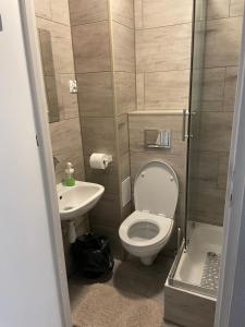 a small bathroom with a toilet and a sink at Pokoje Gościnne Juliusz in Mielno