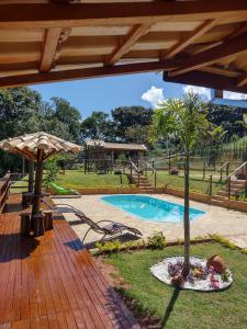 una piscina con una palmera en un jardín en Chácara Jerusalém, en Lindóia