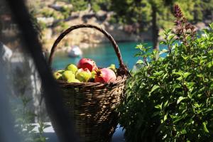 una canasta de manzanas sentada en un alféizar de la ventana en Evilio en Alonnisos Old Town