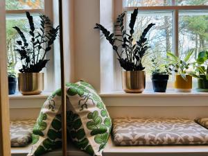 um quarto com janelas com vasos de plantas e um espelho em Roskhill House em Dunvegan