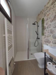 a bathroom with a shower and a toilet and a sink at Apartamento rural "El Albarelo" in Belmonte