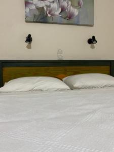 łóżko z dwoma poduszkami i obrazem na ścianie w obiekcie Virginia Studios w mieście Palaiochóra