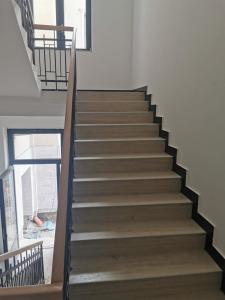 Fotografie z fotogalerie ubytování Zemun blue star v destinaci Zemun