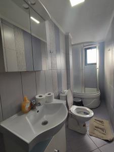 ein Badezimmer mit einem weißen Waschbecken und einem WC in der Unterkunft Gogo Apartments in Ohrid