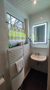 a bathroom with a sink and a mirror at Zimmervermietung38 - Nebel in Salzgitter