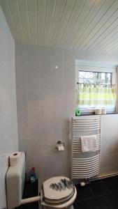 uma casa de banho com um WC e uma janela em Zimmervermietung38 - Nebel em Salzgitter